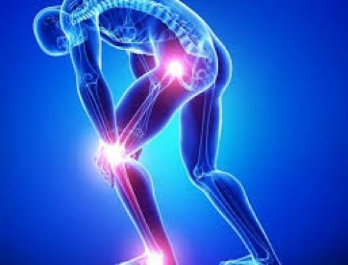 پاورپوینت بیومکانیک ورزشی